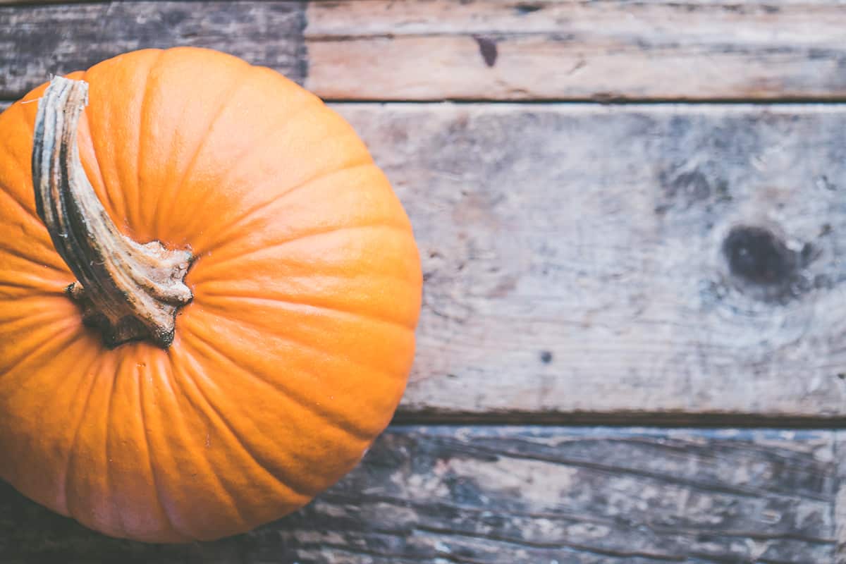 pumpa recept