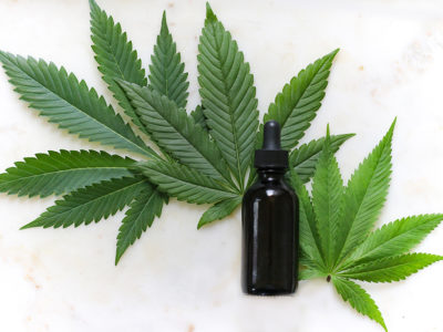 cbd olja
