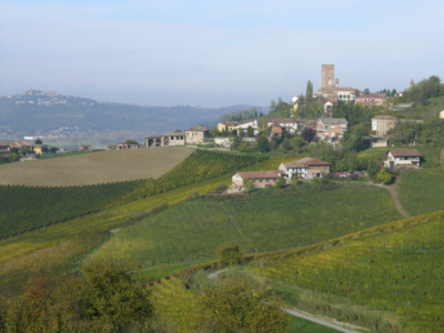 Barbaresco
